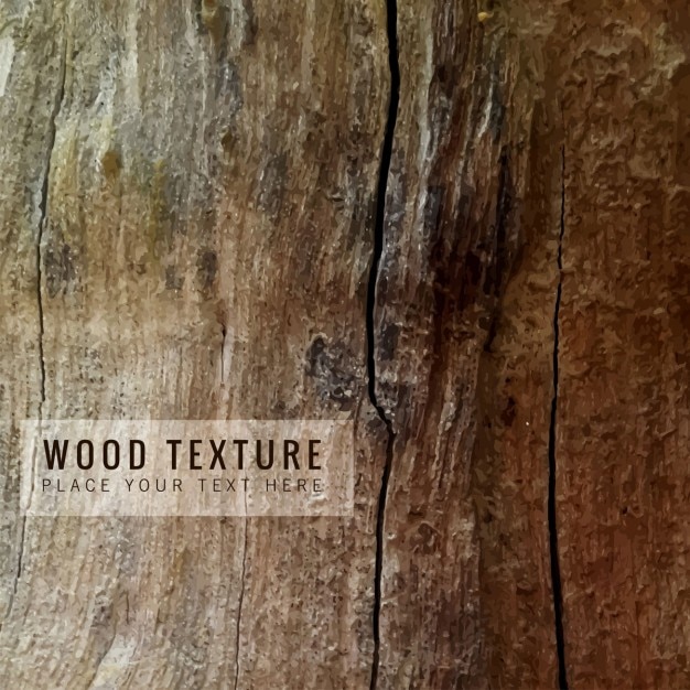 Beautiful Wood Texture