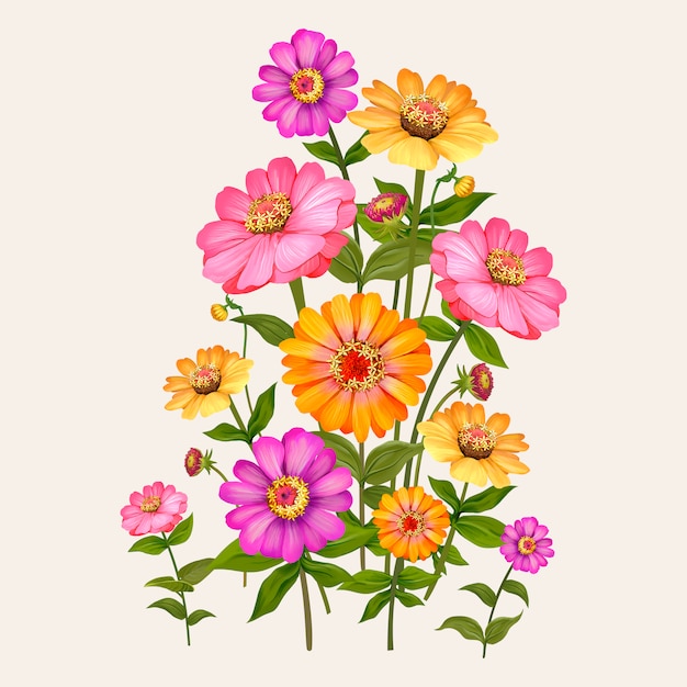 Beautiful zinnia flowering plant illustration Vector Free Download