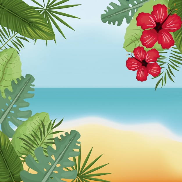 Beauty beach hibiscus palm island | Premium Vector