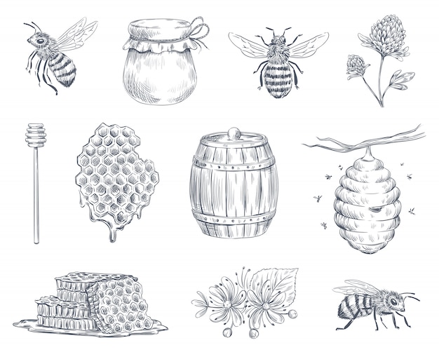 プレミアムベクター 蜂の彫刻 ミツバチ 養蜂場 蜂蜜ハニカムヴィンテージ手描きイラストセット