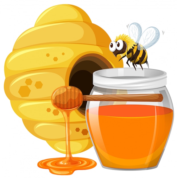 Free Vector | Bee and honey in jar