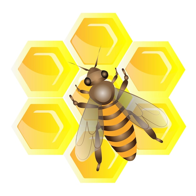 Premium Vector | The bee is sitting on the wall. vector cartoon style