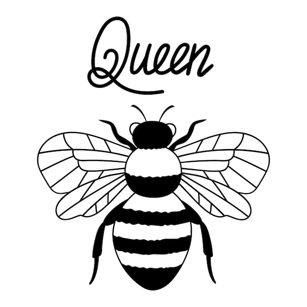 Premium Vector | Bee queen outline drawing line vector illustration ...