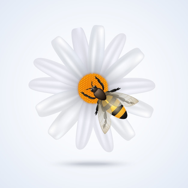 Bee with flower Vector | Free Download