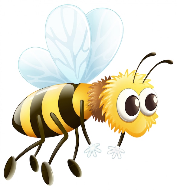 Free Vector | A bee