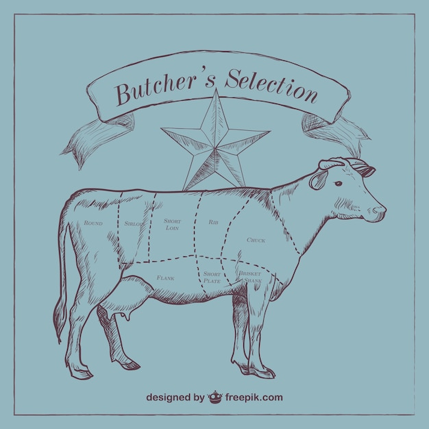 Beef Cuts Of Meat Butcher Chart Cattle Diagram Poster 24inx36in Poster 24x36 Ships From Usa Ships Rolled In Cardboard Tube