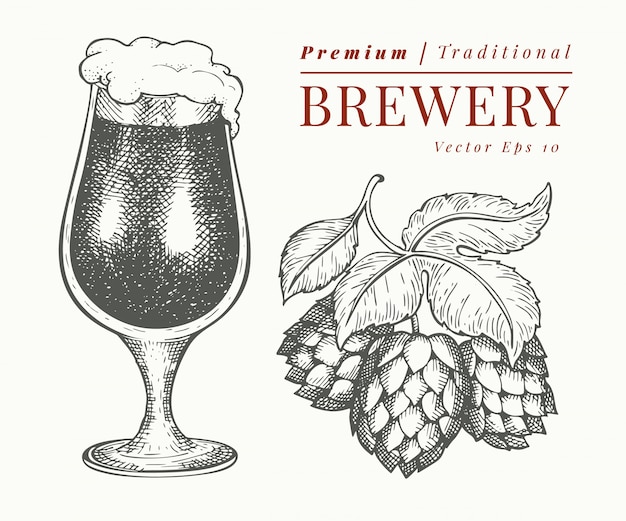 ビールのグラスとホップのイラスト 手描きのパブ飲料イラスト 刻まれたスタイル レトロな醸造所のイラスト プレミアムベクター
