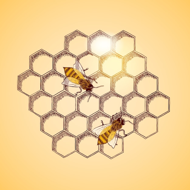 Bees background design