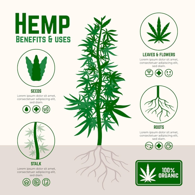 Premium Vector Benefits Of Cannabis Hemp Infographic 9797