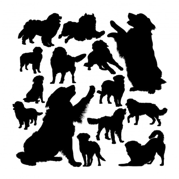 Free Free 170 Bernese Mountain Dog Svg SVG PNG EPS DXF File