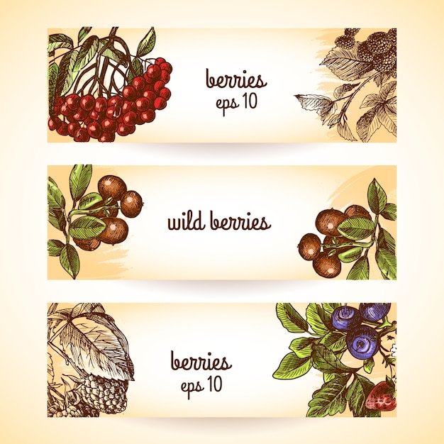Berries banners collection