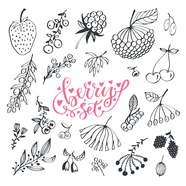 Premium Vector Berries Hand Drawn Doodle Set Vector Isolated Berry