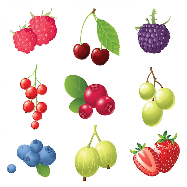 Berries icons set | Premium Vector