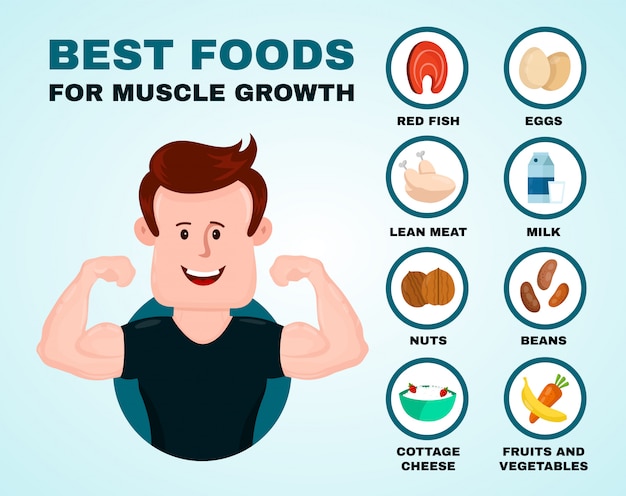 Premium Vector Best Foods For Muscle Growth Infographic 9365