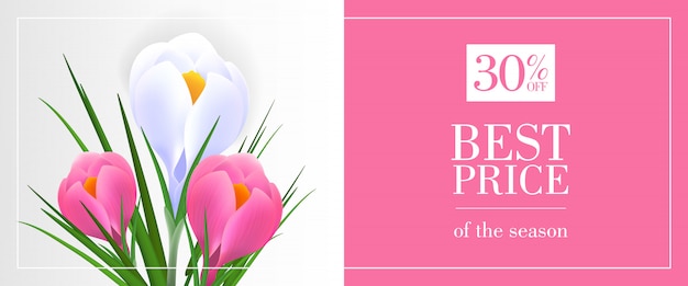 Best price of season, thirty percent off banner
with snowdrops on pink and blue background