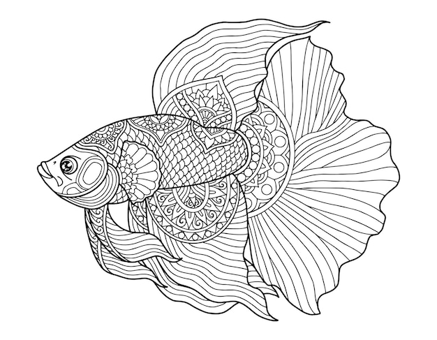 Premium Vector | Betta fish coloring page design clear background