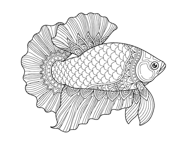 Premium Vector | Betta fish coloring page design clear background