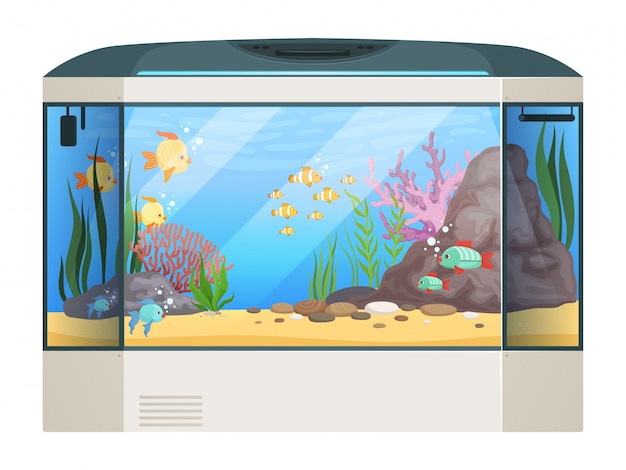 プレミアムベクター 大きな水族館 魚やガラスの水槽の水中植物水中生活漫画イラスト