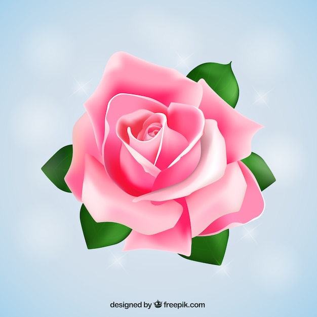 vector free download rose - photo #35