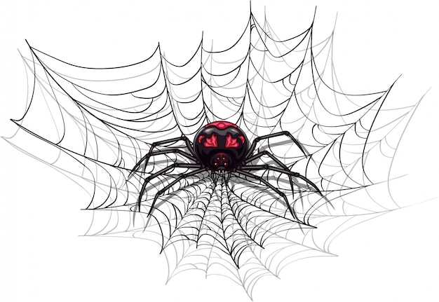 big halloween spider