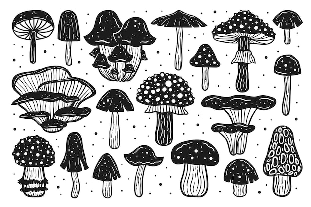 Premium Vector | Big set of forest mushrooms. ink vector illustration ...