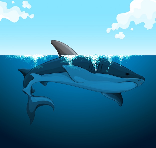 Download Big shark swimming under the water | Premium Vector