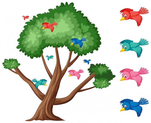 Premium Vector Big Tree And Colorful Birds On White