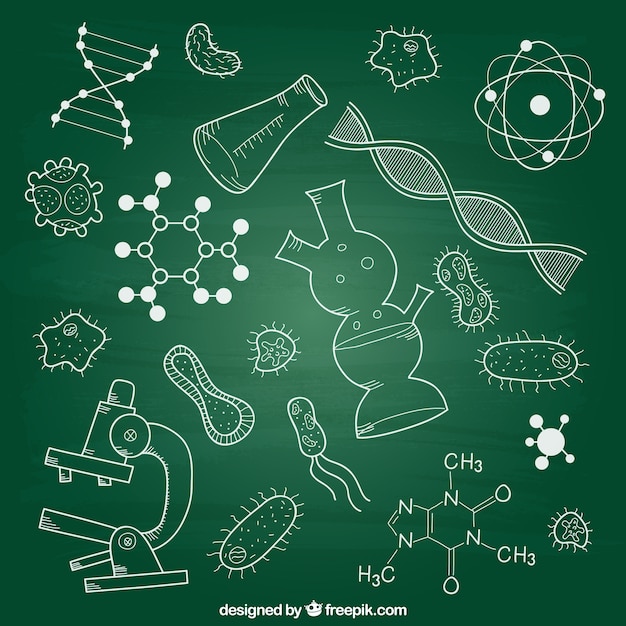 Biology Vectors, Photos and PSD files | Free Download