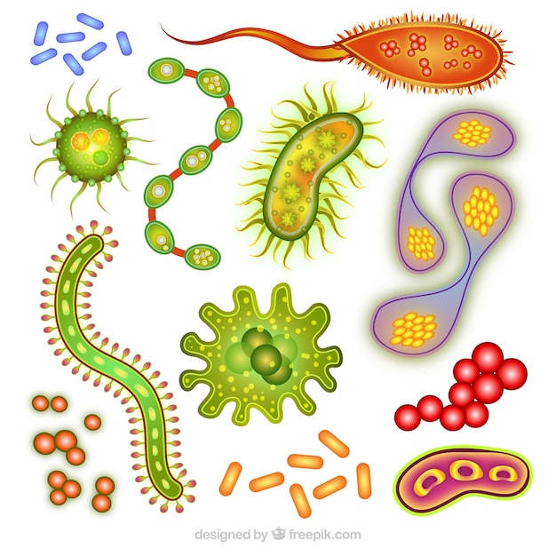 Biology Vectors, Photos and PSD files | Free Download