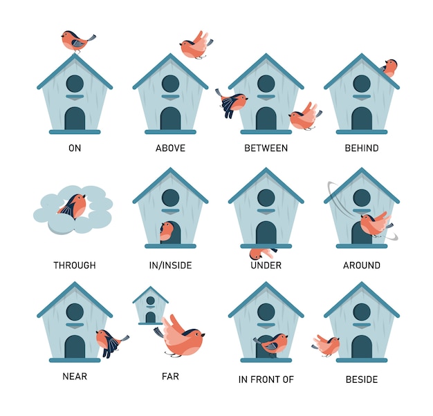 Premium Vector Bird And Birdhouse Learning Preposition Isolated Preschool Education