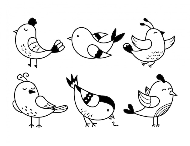 Premium Vector | Bird black line doodle illustration