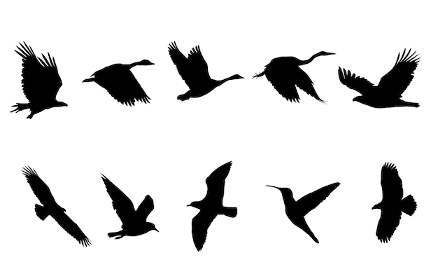 黒いシルエットを飛んでいる鳥 プレミアムベクター
