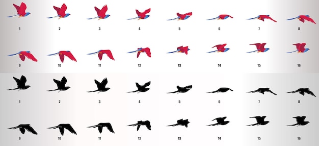 Bird flying cycle animation sequence vector Premium Vector