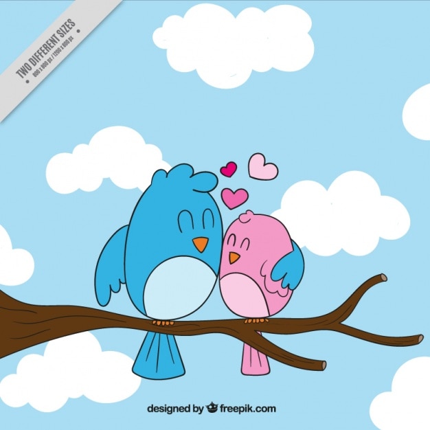 Bird hugging his partner on a branch