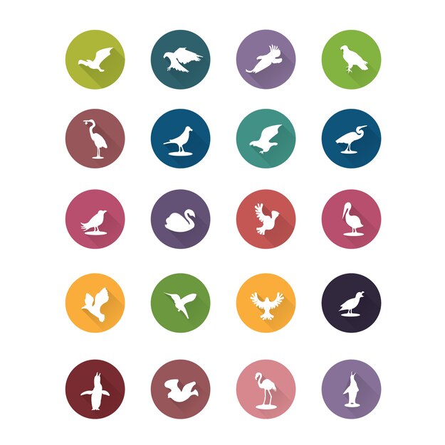 Download Free Vector | Bird icons collection