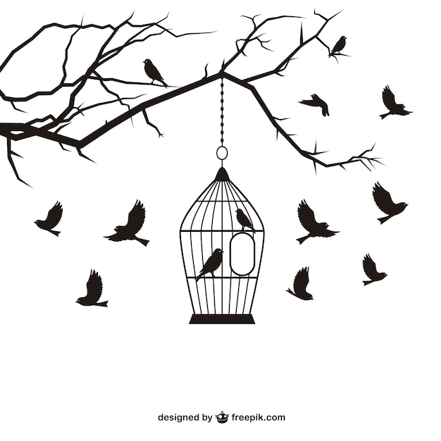 Birds and cage