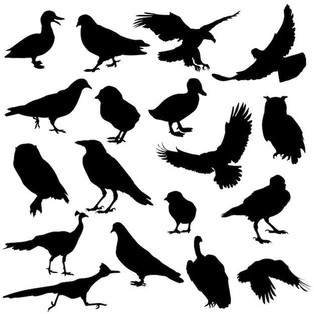 Download Birds animal silhouette vector | Premium Vector