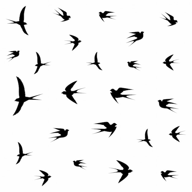 Premium Vector | Birds flying in clouds