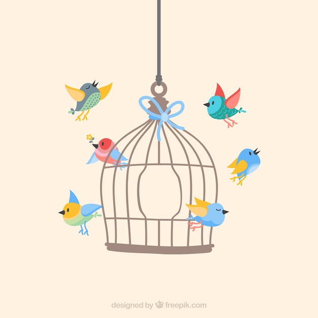 Birds flying from cage Vector Free Download