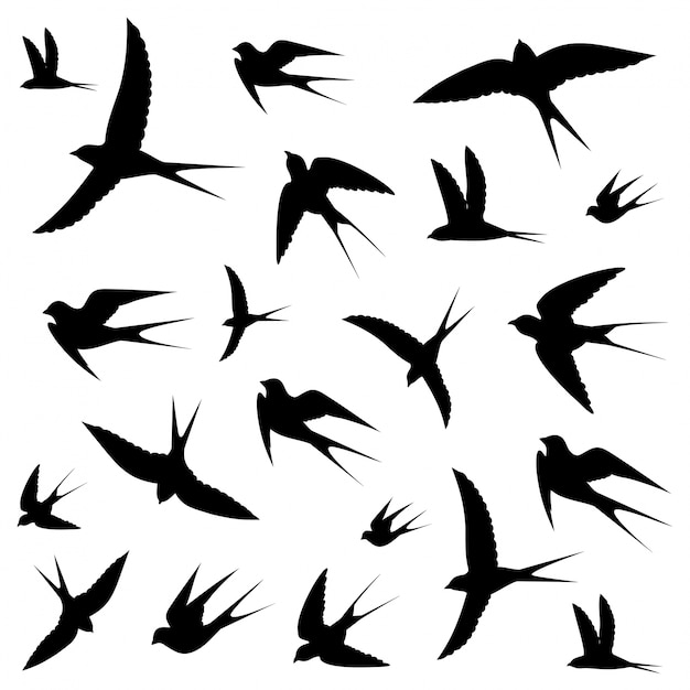 Birds icons Vector | Premium Download