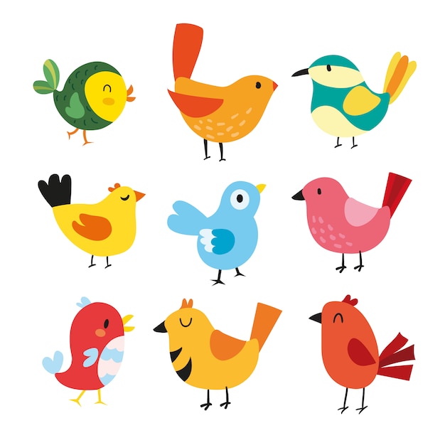 birds illustration download