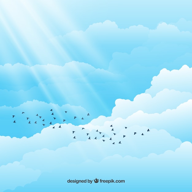 Birds in the cloudy sky