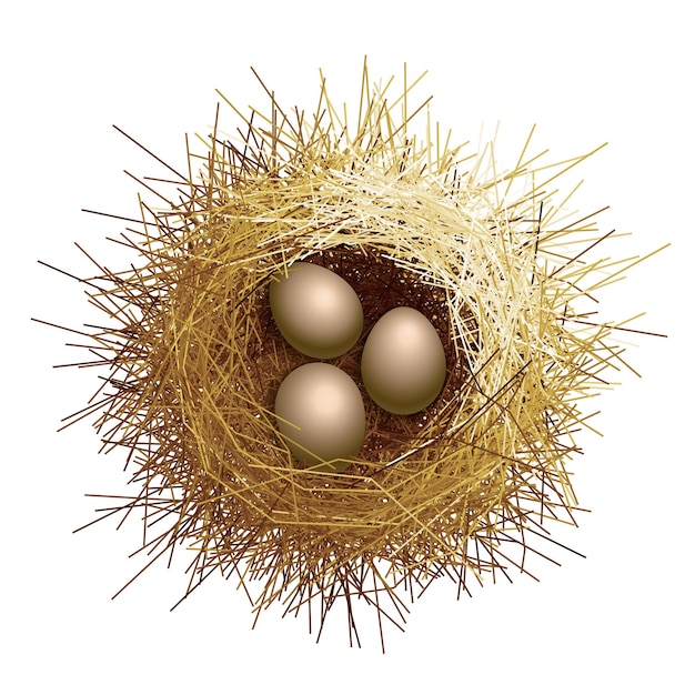 鳥の巣と卵のイラスト プレミアムベクター