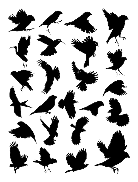 Download Birds silhouette Vector | Premium Download