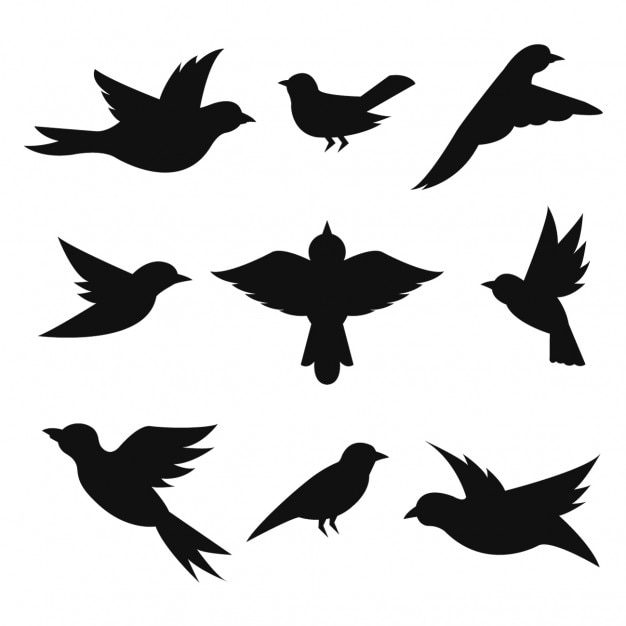 Download Free Vector | Birds silhouettes collection