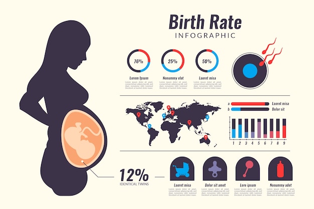 Free Vector | Birth Rate Infographic