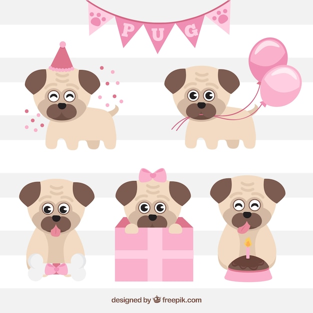 Birthday pack of lovely pugs