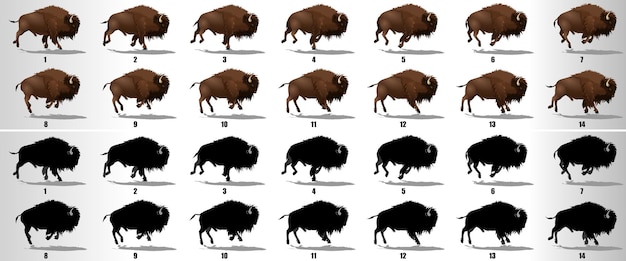  Bison run cycle animation sequence vector Premium Vector