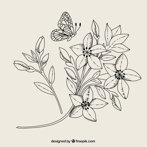Black and white flower and butterfly