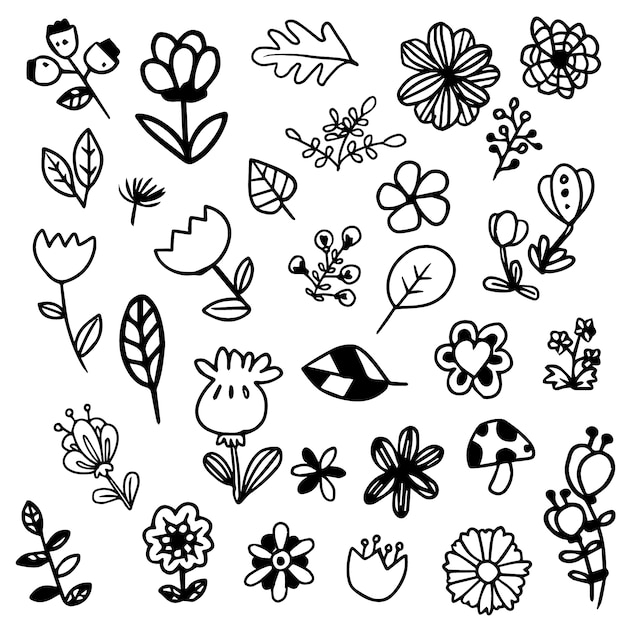Black and white flowers collection